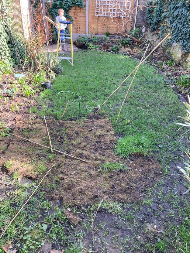 turf with child in background