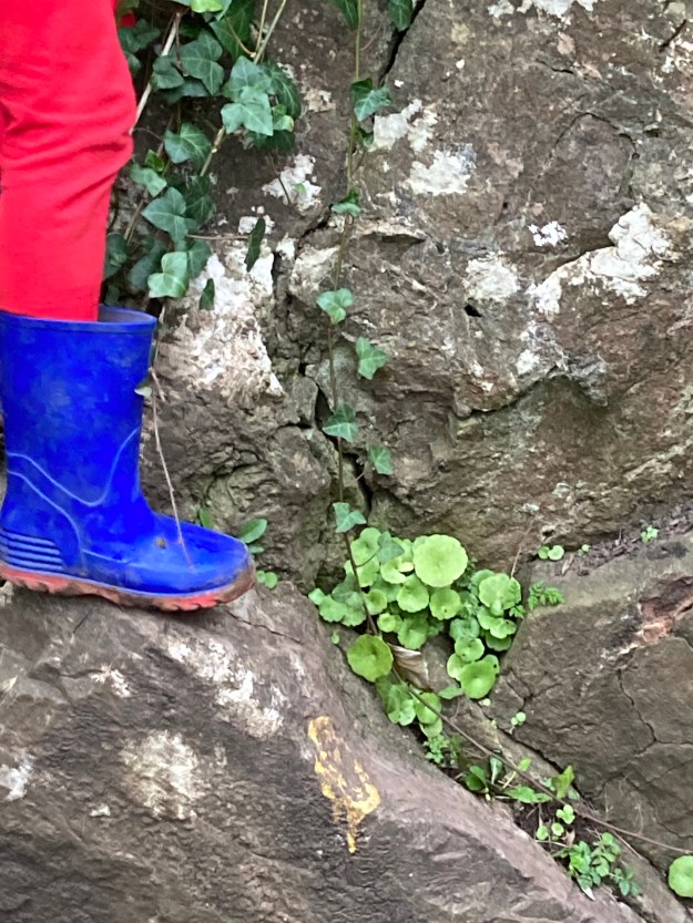 child's foot next to plant